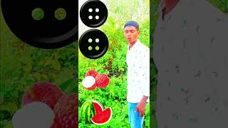 Watermelon mango grapes lichishorts trending 🔥🔥🔥🔥 [upl. by Allimak]