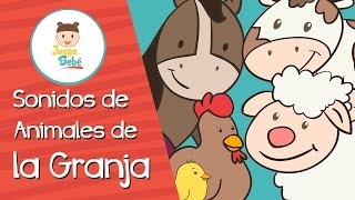 Animales de la Granja  Onomatopeyas [upl. by Eixid]