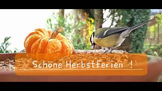 Schöne Herbstferien [upl. by Tildi672]