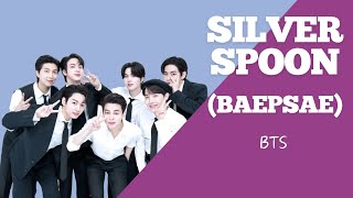 BTS  Silver Spoon Baepsae Lyrics [upl. by Vez]