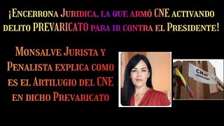 ¡QUE ENCERRONA POLITICA TREMENDA CON PREVARICATO EN EL CNE PARA JUZGAR AL PRESIDENTE PETRO¡ [upl. by Herrick]