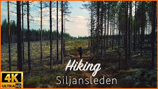 Hiking Siljansleden in Dalarna Sweden 4K [upl. by Aretak]