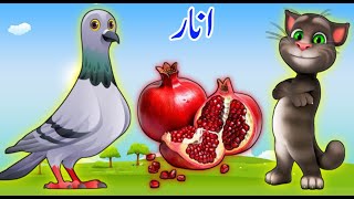 Alif baa taa  Alif se anar  اُردو حروف اور الفاظ  Huroof e Tahaji  Urdu Rhymes for Children [upl. by Bunny]