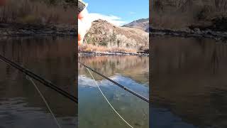 BWO fishingvideos fishing [upl. by Bradford438]