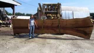 Sawing wide slabs from a 20000 lb log [upl. by Ainex]