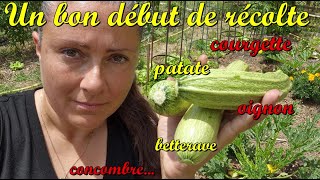 6 légumes récoltés  Juin 2024 [upl. by Orihakat]