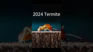 2024 termite and 5000bce termite animals trending [upl. by Astor]