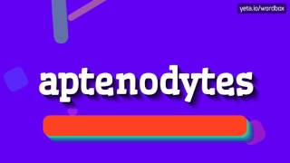 APTENODYTES  HOW TO PRONOUNCE APTENODYTES aptenodytes [upl. by Kcerred]