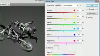 Adobe Photoshop CS4  Passer une image couleur en noir et blanc [upl. by Iago]