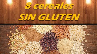 8 cereales SIN GLUTEN por Nely Helena Acosta Carrillo [upl. by Saddler]