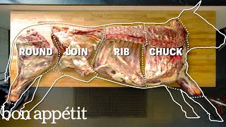 How To Butcher An Entire Cow Every Cut Of Meat Explained  Bon Appetit [upl. by Sybley365]