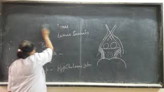 Nervous system lecture 20 Hypothalamus [upl. by Ayerf]