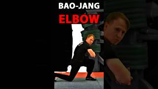 Elbow Smash Baojang 包掙 martialarts kungfu choylifut traditionalkungfu [upl. by Sul224]