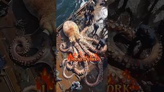 Strange giant octopus discovered fishermen youtubeshorts sea [upl. by Annelak]