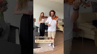 RADOVÉ STACCATO🎻💫 violin violinpracticetip bratislava violinist privatelessons music [upl. by Arbe841]