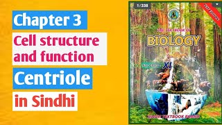 centrioles class 11 biologyChapter 3 cell structure and functionSindh board [upl. by Sarajane585]