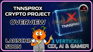 Overview TNNSPROX crypto project [upl. by Brnaby]