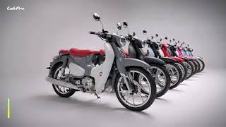 Which Color Do You Like Cub Pro 125 Motorcycle kamax supercub underbone 125cc moped [upl. by Adlanor919]