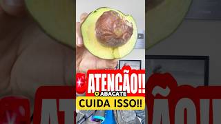 🚨ATENÇÃO Abacate para cachorro cachorro alimentacaonaturalparacaes pitbull goldenretriever [upl. by Sonstrom]