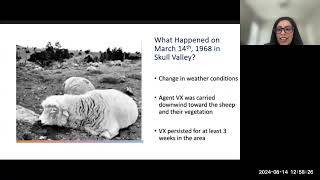 Counting Sheep VX and The Rock and Skull Valley Incident [upl. by Sonaj]