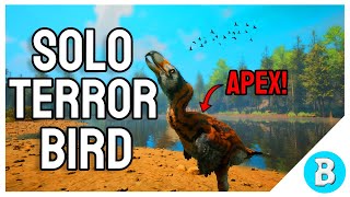 I Played As A Solo Terror Bird In Path Of Titans Heres What Happened [upl. by Nylynnej]