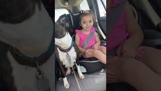 Boston Terrier Learns About Sponsibilities rugrats bostonterrier cutedog [upl. by Aisatna]