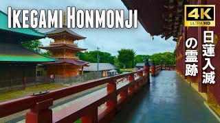 Japan  Walking around Ikegami Honmonji Temple in Tokyo after the rain 4k [upl. by Moscow473]