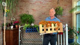 Ultimate Innovations Deck amp Rail Hanging Wood Planter Box on QVC [upl. by Dranreb140]