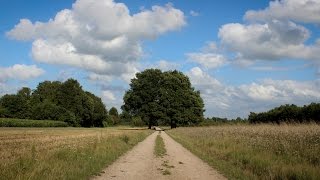 Het Gooi  Een prachtige landstreek met oa Laren en Blaricum [upl. by Annaor]