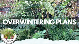 Overwintering Tour Nov 24 UK Tropical Style Garden [upl. by Fitton]