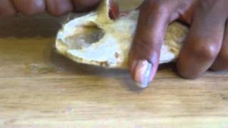 DIYHow to crack open a mango seed [upl. by Finnie]