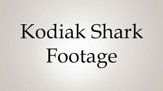 How to Pronounce Kodiak Shark Footage [upl. by Nythsa]