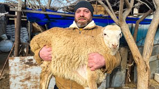 Pilaf Cooked Inside A Whole Sheep in The Oven An Incredible Way to Serve A Dish [upl. by Latoyia]