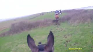 Sligo Harriers Rosses Point 5th February 22 [upl. by Beaulieu]