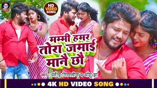 Video  मम्मी हमर तोरा जमाई मानै छौ  Dharmendra Nirmaliya New video Song  Tora Jamai Mane Chho [upl. by Waddington]