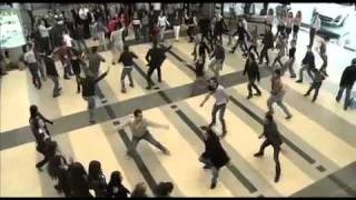 Official versionDabke Dance in BEIRUT INTERNATIONAL AIRPORTflv [upl. by Reger698]