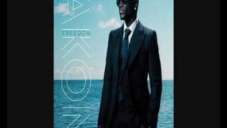 Akon  We Dont Care  Good Quality Audio [upl. by Seppala137]