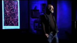 TED 2008 6 ways mushrooms can save the world Part 12 [upl. by Olpe]