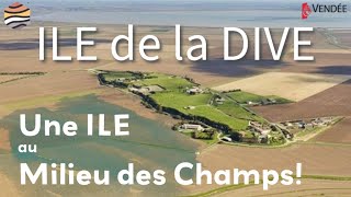 GÉOLOGIE de lILE de la DIVE en VENDÉE [upl. by Leahcimluap]