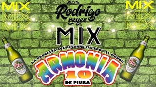 MIX ARMONIA 10  La Duda Solo Escribeme Serpiente  DJ RODRIGO REYES [upl. by Tolmach]