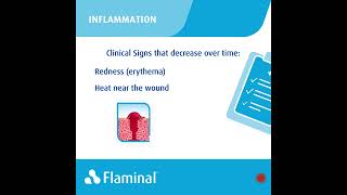 Do you know the difference between inflammation and infection [upl. by Valdemar]