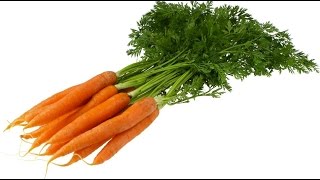 Top 10 Greatest Vegetables for Your Health [upl. by Laet852]