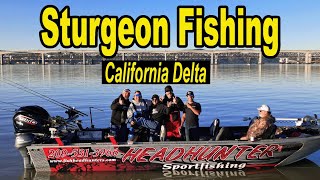 Sturgeon Fishing California Delta Style [upl. by Mirabella]