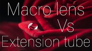 Macro lens Vs extension tubes Which is better [upl. by Salvadore]