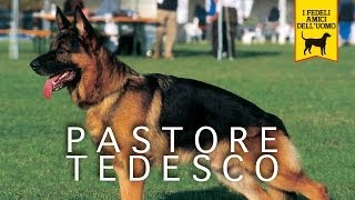 PASTORE TEDESCO Trailer Documentario [upl. by Melissa320]