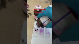 Gram staining procedure microbiology bacteria [upl. by Ruprecht]