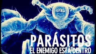 ¿Cómo actúan los parásitos [upl. by Airdnaz]