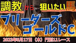 ◎◯△完全的中🎯【ブリーダーズゴールドカップ 2023】お盆重賞3連戦🔥今日も的中なるか？！調教から狙いたい馬🏇【競馬】 [upl. by Aeslahc]