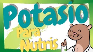 ¿Qué es el Potasio  Potasio en Nutrición [upl. by Einad]