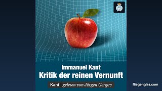 Hörbuch Kritik der reinen Vernunft von Immanuel Kant I Hörprobe 🎧 [upl. by Adao]